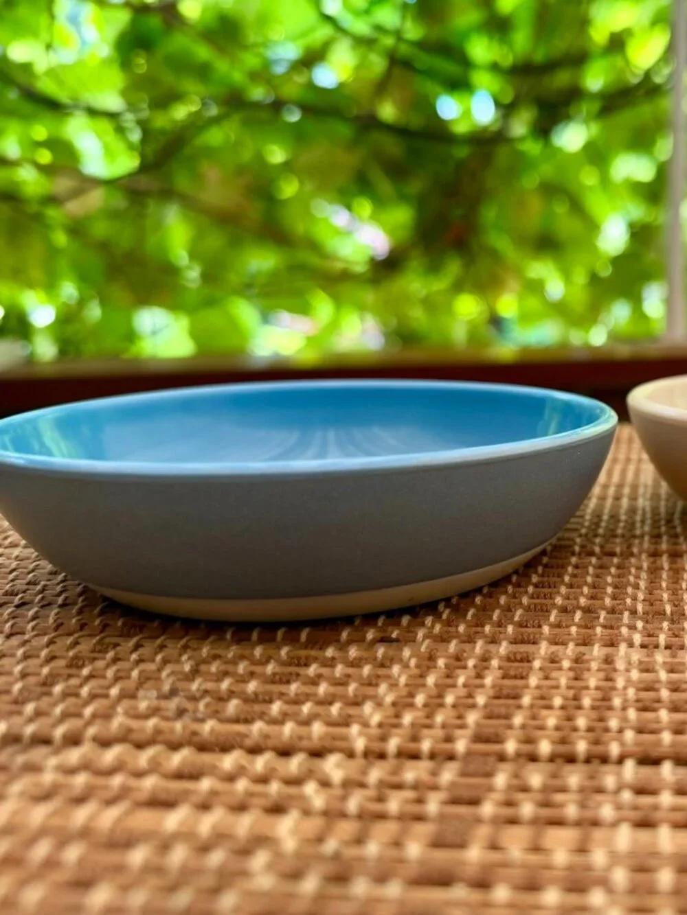 🐾PET | Van Ness Ecoware Non‑Skid Cat Bowls (Set-2) – BPA‑Free, Whisker‑Friendly
